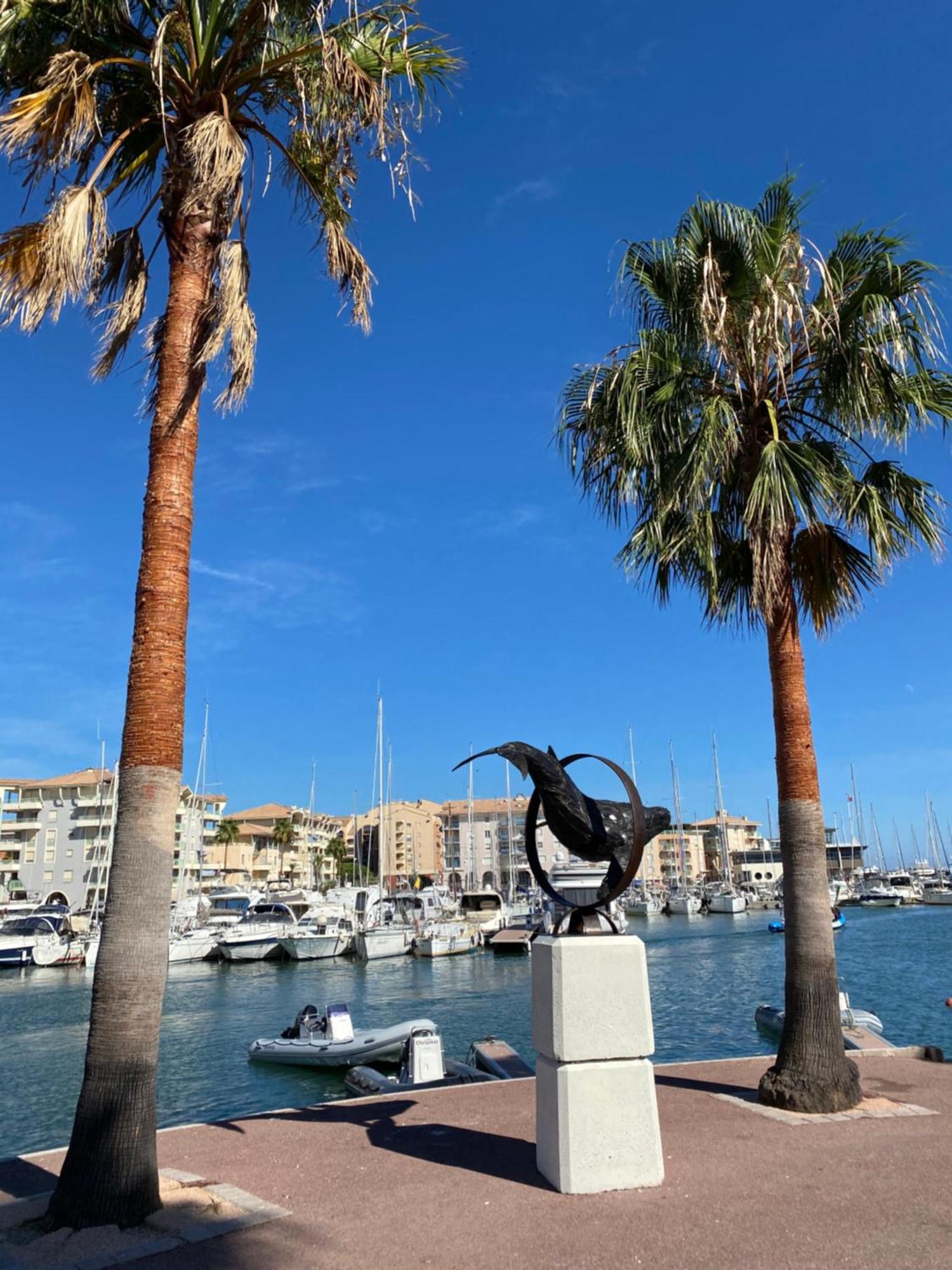 Chez Virginie : Appartement Lumineux Au Calme. Frejus Exterior photo